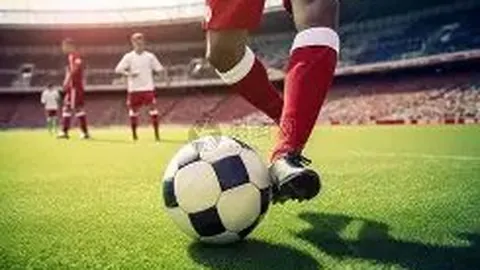 kaiyun·开云（中国）